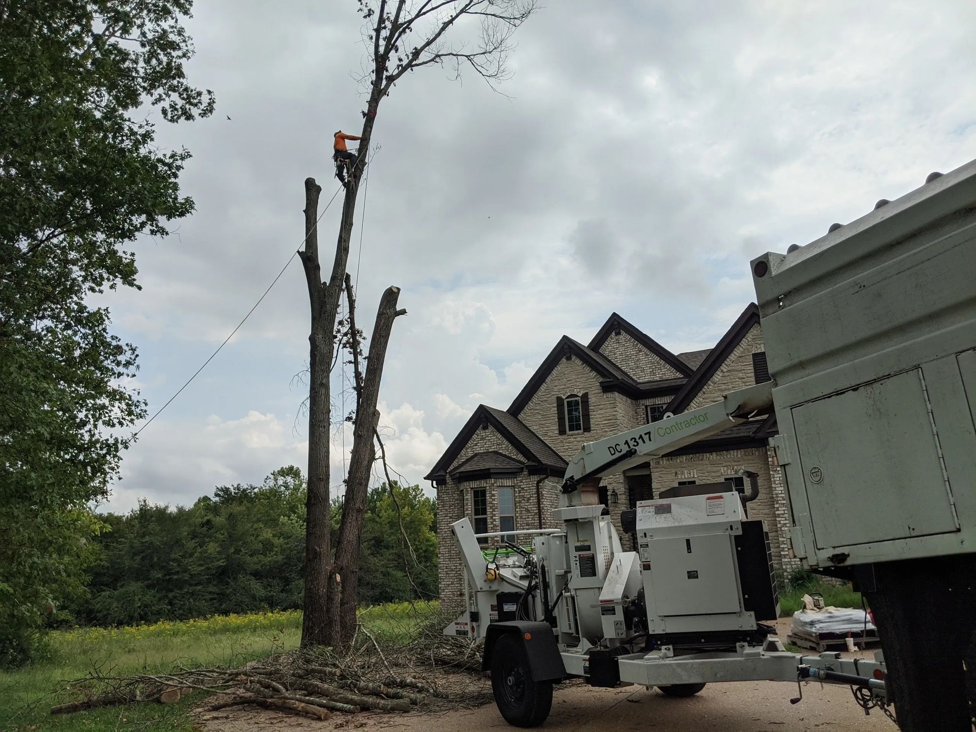 Arborist in a tree wearing a helmet and harness, reaching up. Blue sky background.