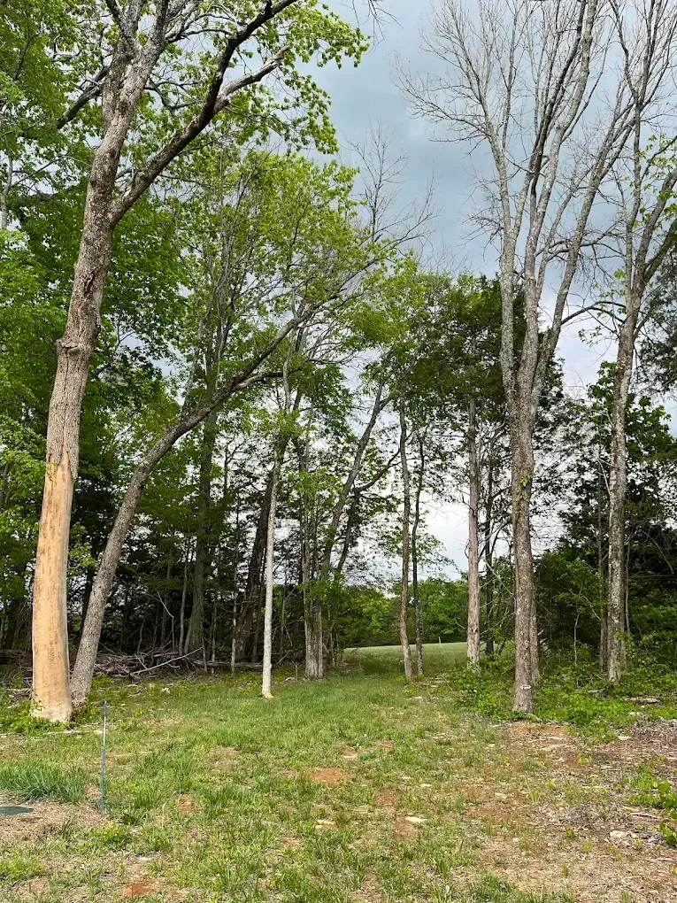 A bulldozer is scooping dirt from a parking lot.