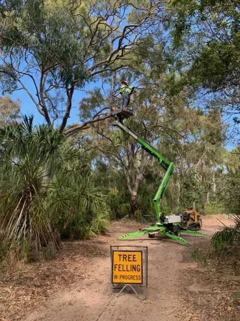 A tree felling in progress sign. A worker in a cherry picker is trimming a tree in a wooded area — Boyne Island Tree Services in Boyne Island, QLD