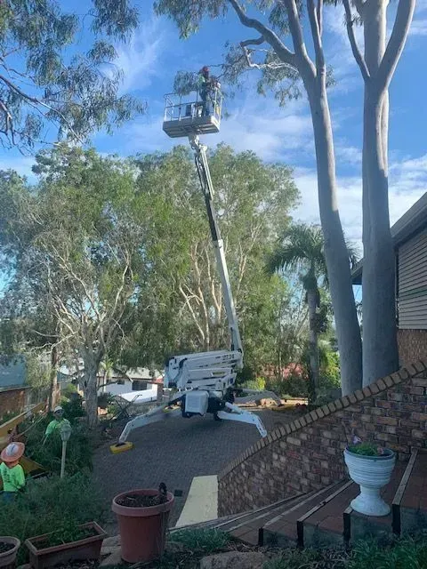 A person in a lift trimming a tree in a residential setting; sunny day, blue sky — Boyne Island Tree Services in Boyne Island, QLD