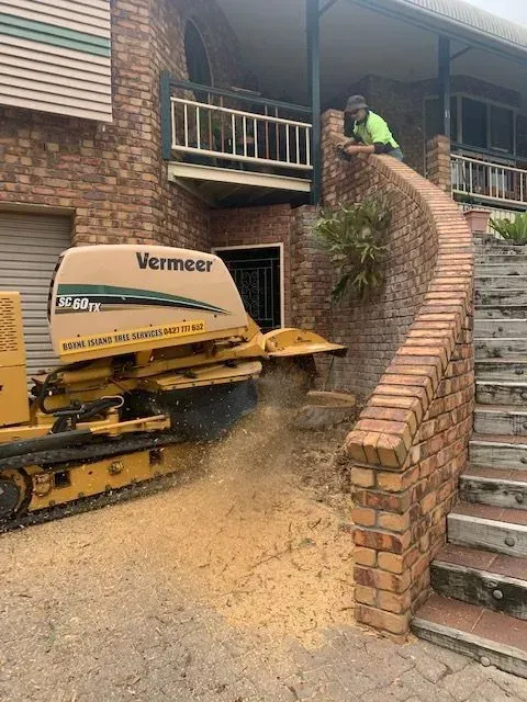 A worker operates a Vermeer stump grinder next to brick stairs, generating sawdust — Boyne Island Tree Services in Boyne Island, QLD