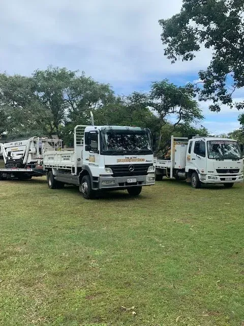 Three white trucks parked on grass under a cloudy sky — Boyne Island Tree Services in Boyne Island, QLD