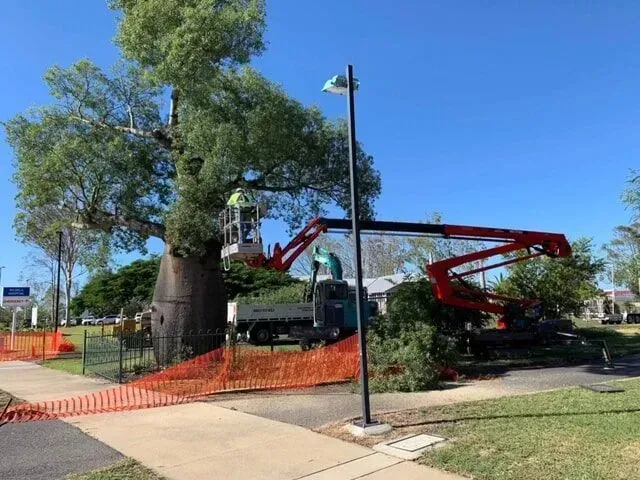 Tree trimming with an aerial lift; worker in lift cutting branches. Orange netting and blue sky — Boyne Island Tree Services in Boyne Island, QLD