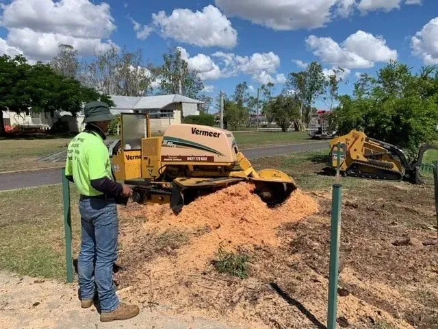 Man operating a yellow stump grinder, creating sawdust on a grassy lot. Another machine is visible in the background — Boyne Island Tree Services in Boyne Island, QLD