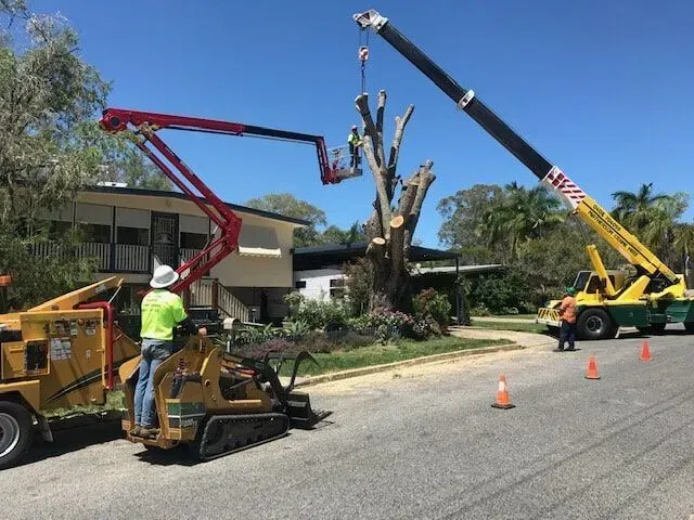 Tree removal: crane lifts sections of a tree, workers in lift and on ground. Street setting, sunny — Boyne Island Tree Services in Boyne Island, QLD