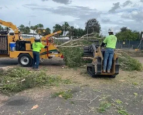 Two workers feeding tree branches into a wood chipper. A skid steer helps move the branches — Boyne Island Tree Services in Boyne Island, QLD