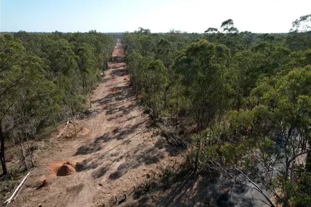 Dirt road cuts through a green eucalyptus forest under a blue sky — Boyne Island Tree Services in Boyne Island, QLD