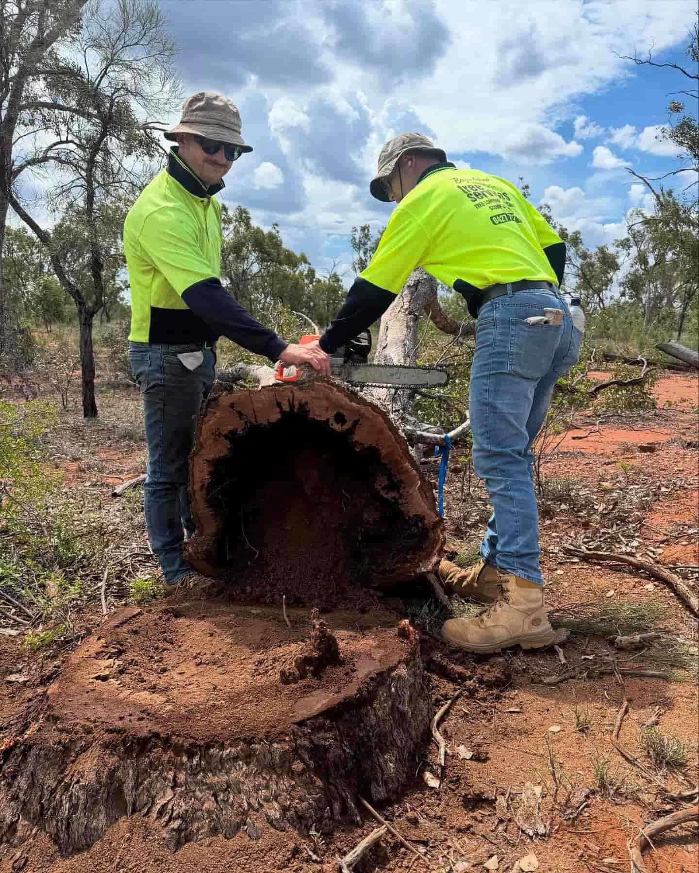 Two Men Are Cutting a Tree Stump with A Chainsaw — Boyne Island Tree Services in Boyne Island, QLD