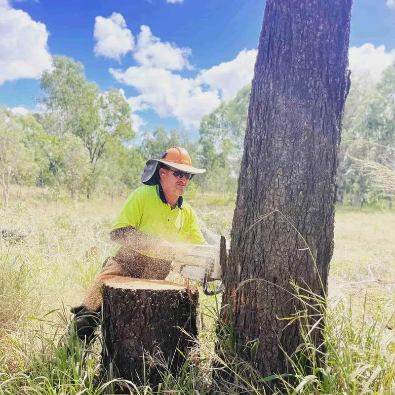 A Man Is Cutting a Tree Stump with A Chainsaw — Boyne Island Tree Services in Boyne Island, QLD