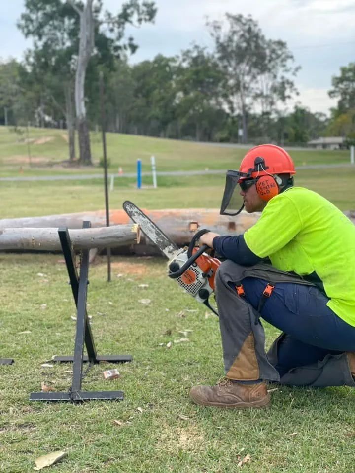 A Man Is Kneeling Down in The Grass Cutting a Log with A Chainsaw — Boyne Island Tree Services in Boyne Island, QLD