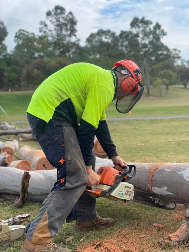 A Man Is Cutting a Tree with A Chainsaw in A Park — Boyne Island Tree Services in Boyne Island, QLD