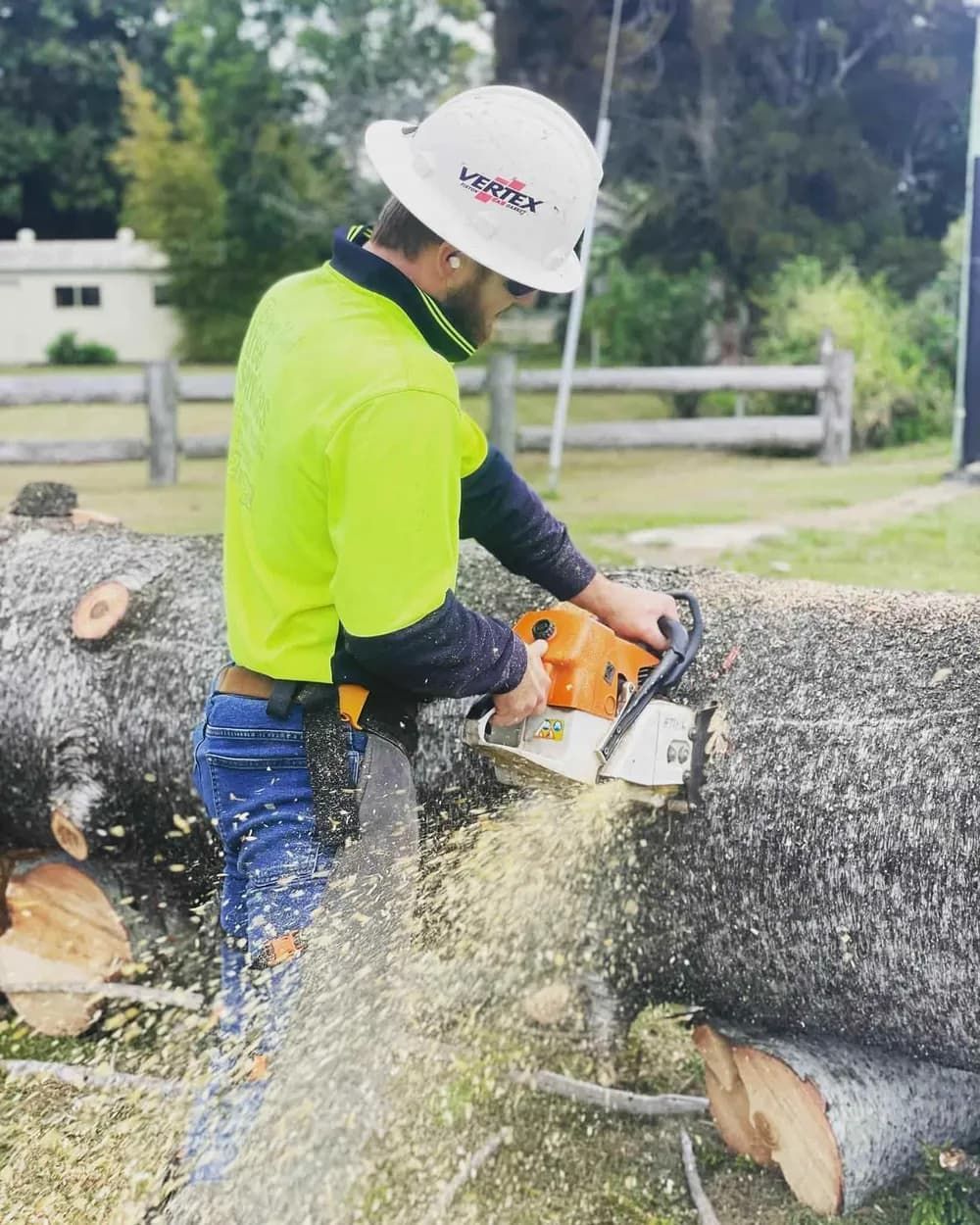 A Man Is Cutting a Tree with A Chainsaw — Boyne Island Tree Services in Boyne Island, QLD