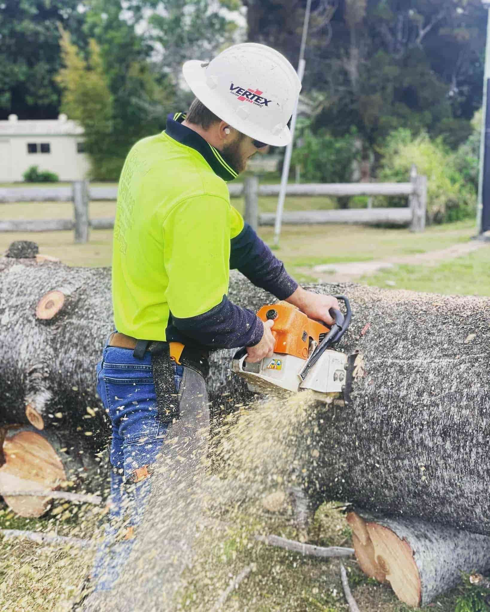 A Man Is Cutting a Tree with A Chainsaw — Boyne Island Tree Services in Boyne Island, QLD