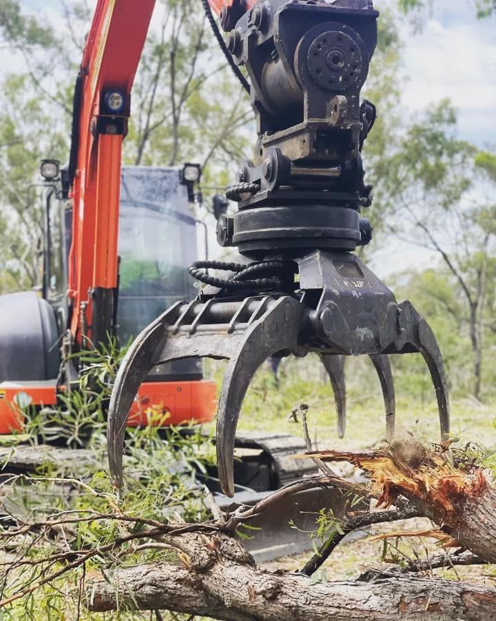 A Crane Is Lifting a Tree Branch in A Field — Boyne Island Tree Services in Boyne Island, QLD