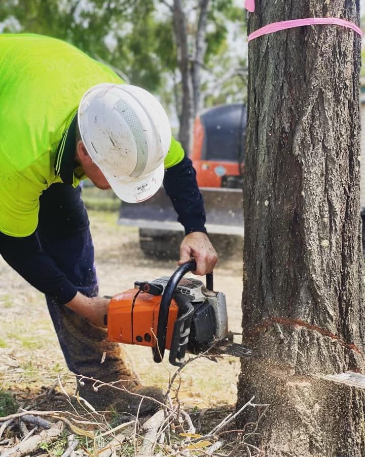 A Man Is Cutting a Tree with A Chainsaw — Boyne Island Tree Services in Boyne Island, QLD