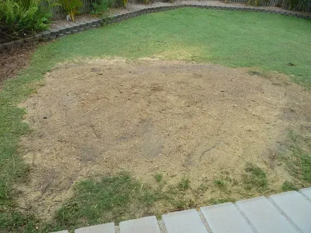 Oval-shaped bare dirt patch in a green lawn, surrounded by grass and stone patio — Boyne Island Tree Services in Boyne Island, QLD