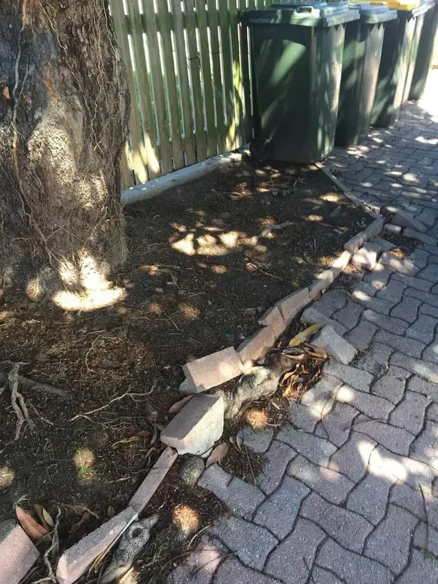 Broken brick edging alongside a brick-paved path, near a tree and green trash bins — Boyne Island Tree Services in Boyne Island, QLD