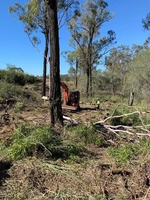Excavator clearing land; a worker in high-vis vest oversees the work; trees and vegetation are in the landscape — Boyne Island Tree Services in Boyne Island, QLD