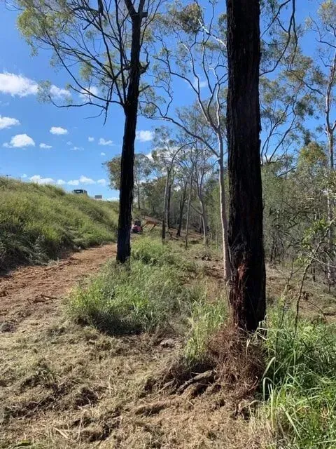 Dirt path flanked by trees and grassy hillside under blue sky — Boyne Island Tree Services in Boyne Island, QLD