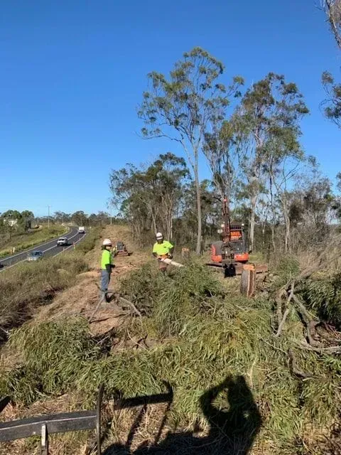 Workers using chainsaws, clearing brush near a highway; sunny day — Boyne Island Tree Services in Boyne Island, QLD