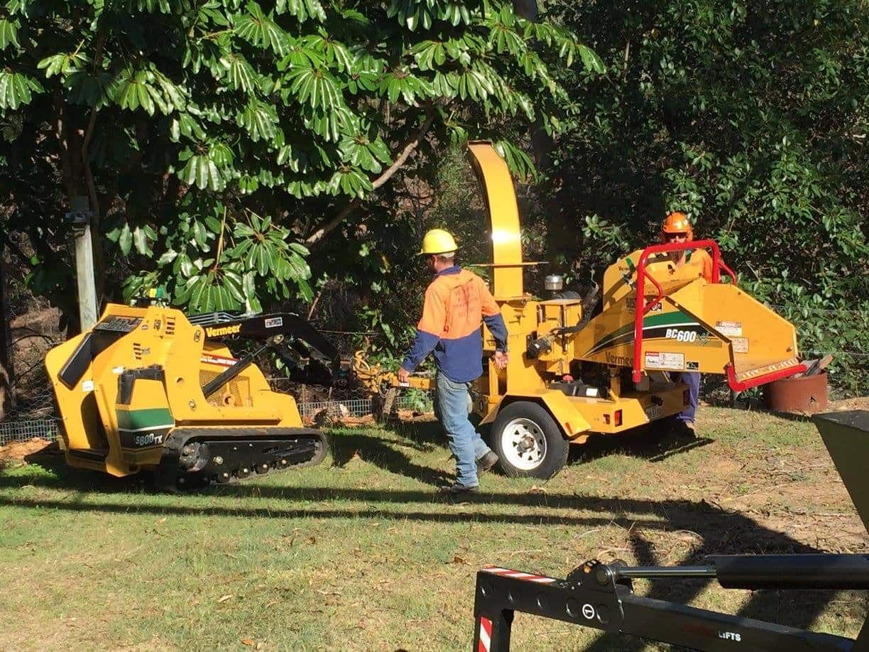 A Man Is Spraying Water from A Tree Stump — Boyne Island Tree Services in Seventeen Seventy, QLD