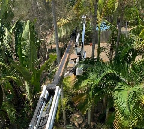 A Tree Chipper Is Cutting Down Trees in A Forest — Boyne Island Tree Services in Boyne Island, QLD