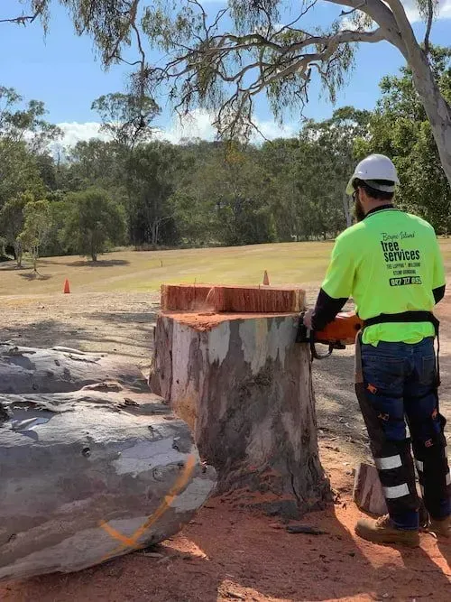 A Red Crane Is Lifting a Black Umbrella in A Park — Boyne Island Tree Services in Boyne Island, QLD