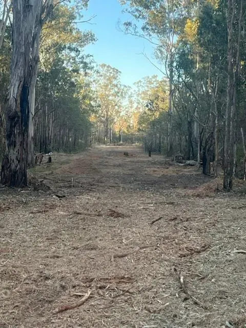 Dirt path through a forest, trees on both sides, with light at the end — Boyne Island Tree Services in Boyne Island, QLD
