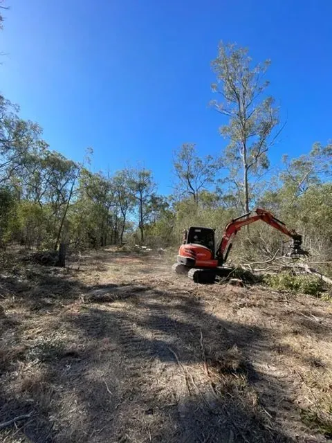 An orange excavator clearing trees in a forest under a bright blue sky — Boyne Island Tree Services in Boyne Island, QLD