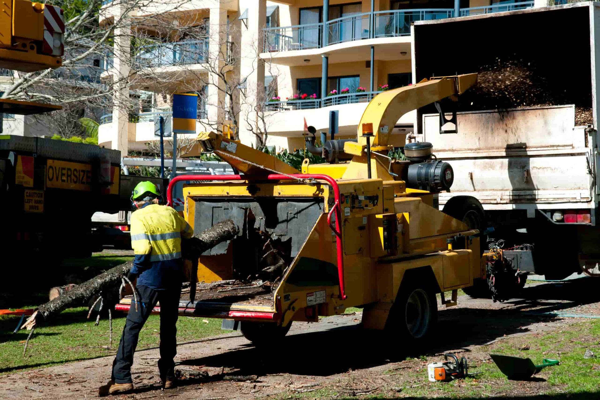 A Man Is Standing Next to A Tree Chipper in Front of A Building — Boyne Island Tree Services in Seventeen Seventy, QLD