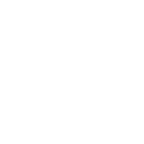 Ignition King Logo