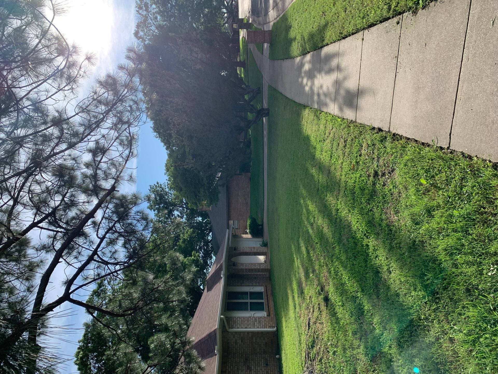 A sidewalk leading to a house with a lot of grass and trees.