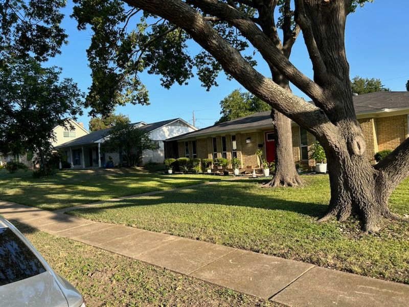 A car is parked in front of a house with a tree in front of it