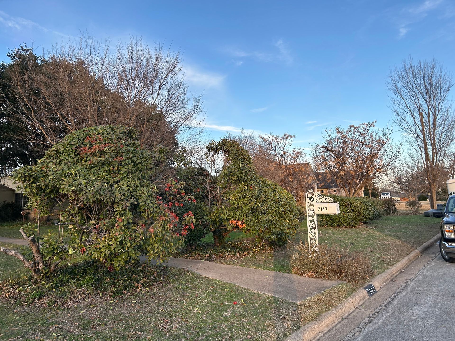There is a mailbox in the middle of the yard.
