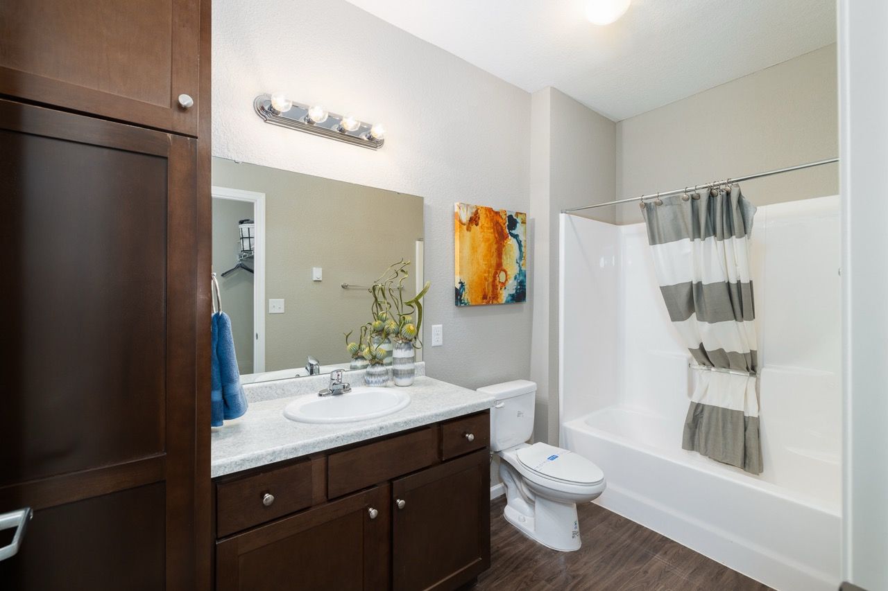 Bathroom with dark wood vanity, single sink, mirror, toilet, and a white tub with a gray striped shower curtain.
