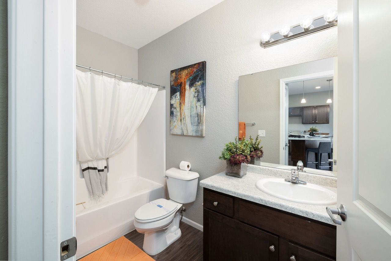 Bathroom in an apartment with a vanity, sink, toilet, and bathtub/shower.