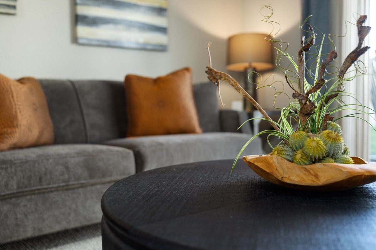 Living room inside an apartment with gray sofa, orange pillows, coffee table, and a decorative plant centerpiece