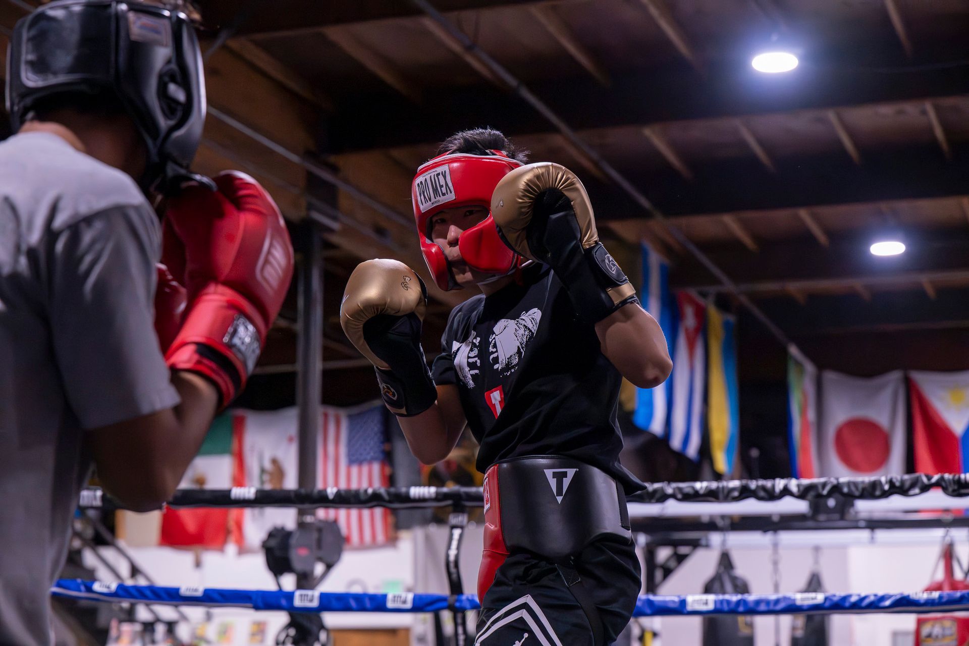 Two boxers in a ring, sparring with red and gold gloves, wearing headgear. Flags hang in the background.