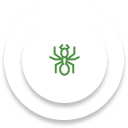 Green line-art icon of an ant centered on a layered white circular background.