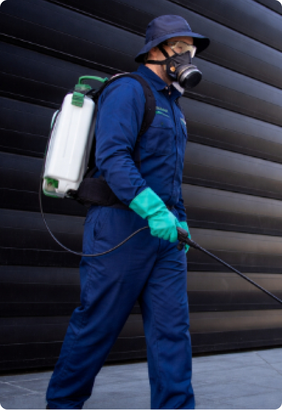 Worker in blue protective suit and respirator spraying a black wall with a backpack sprayer