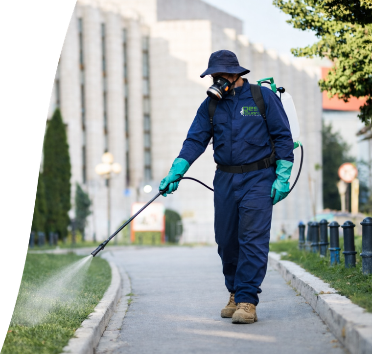A person in a blue protective suit and mask sprays an area along a sidewalk with a backpack sprayer.