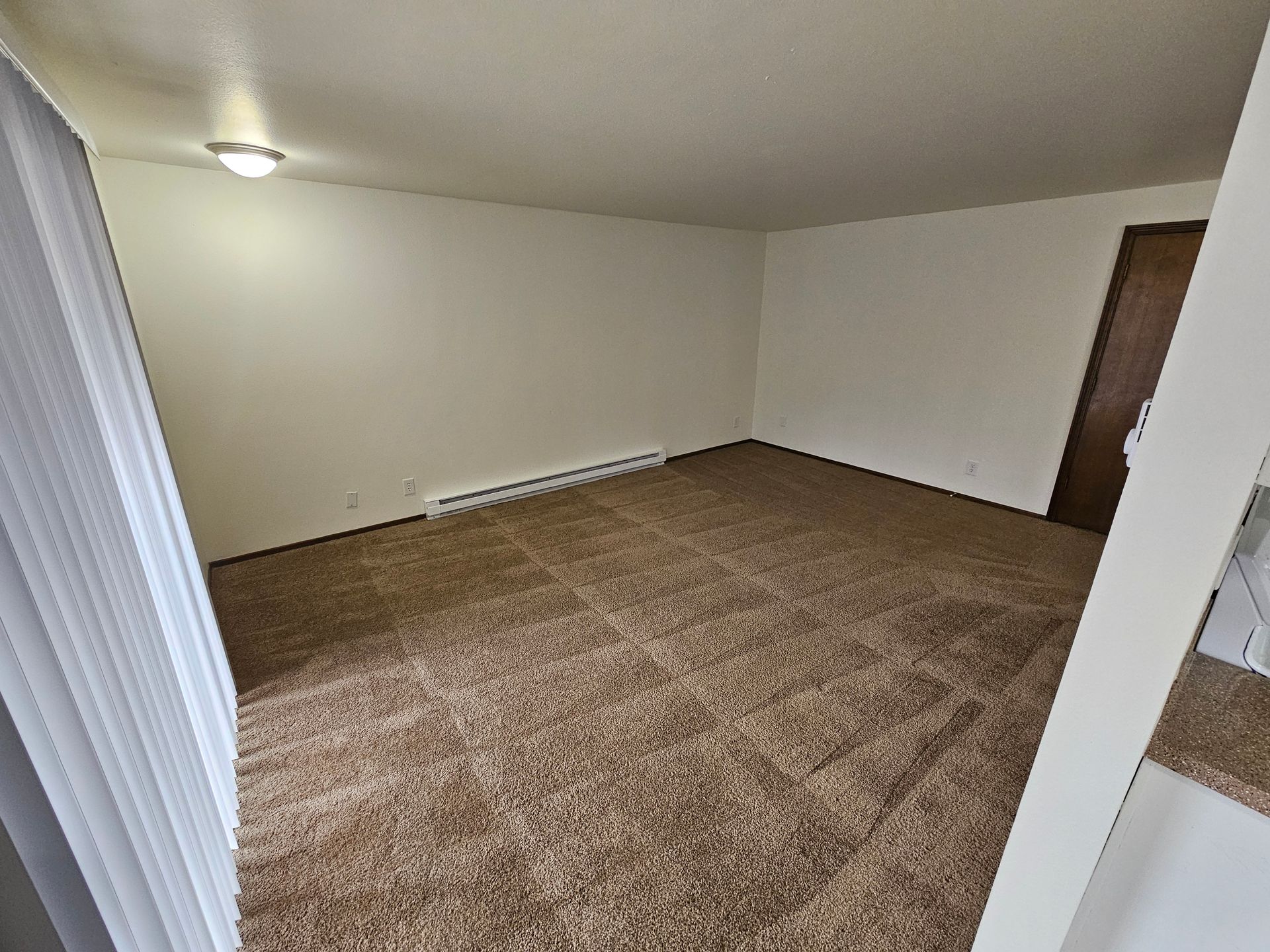 An empty living room with a brown carpet and white walls.