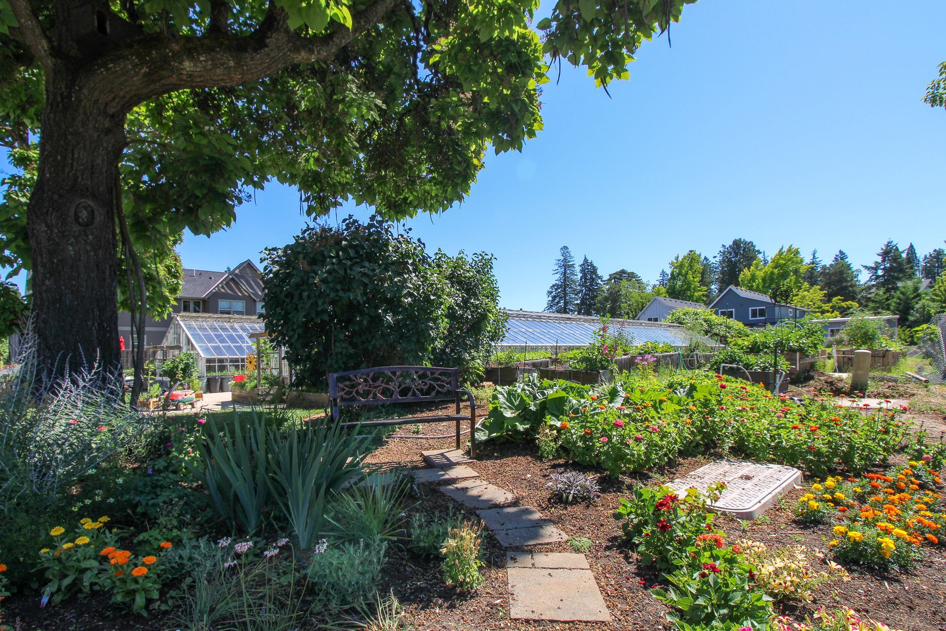 A garden with lots of flowers and a bench under a tree