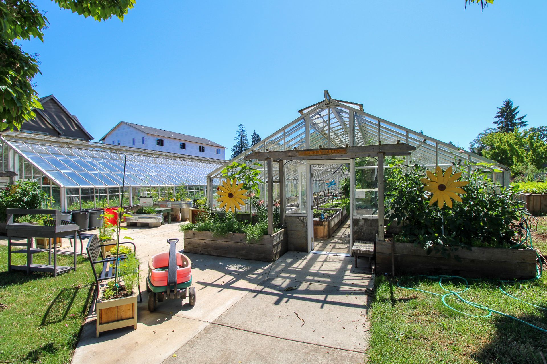 A greenhouse filled with lots of plants and flowers on a sunny day.