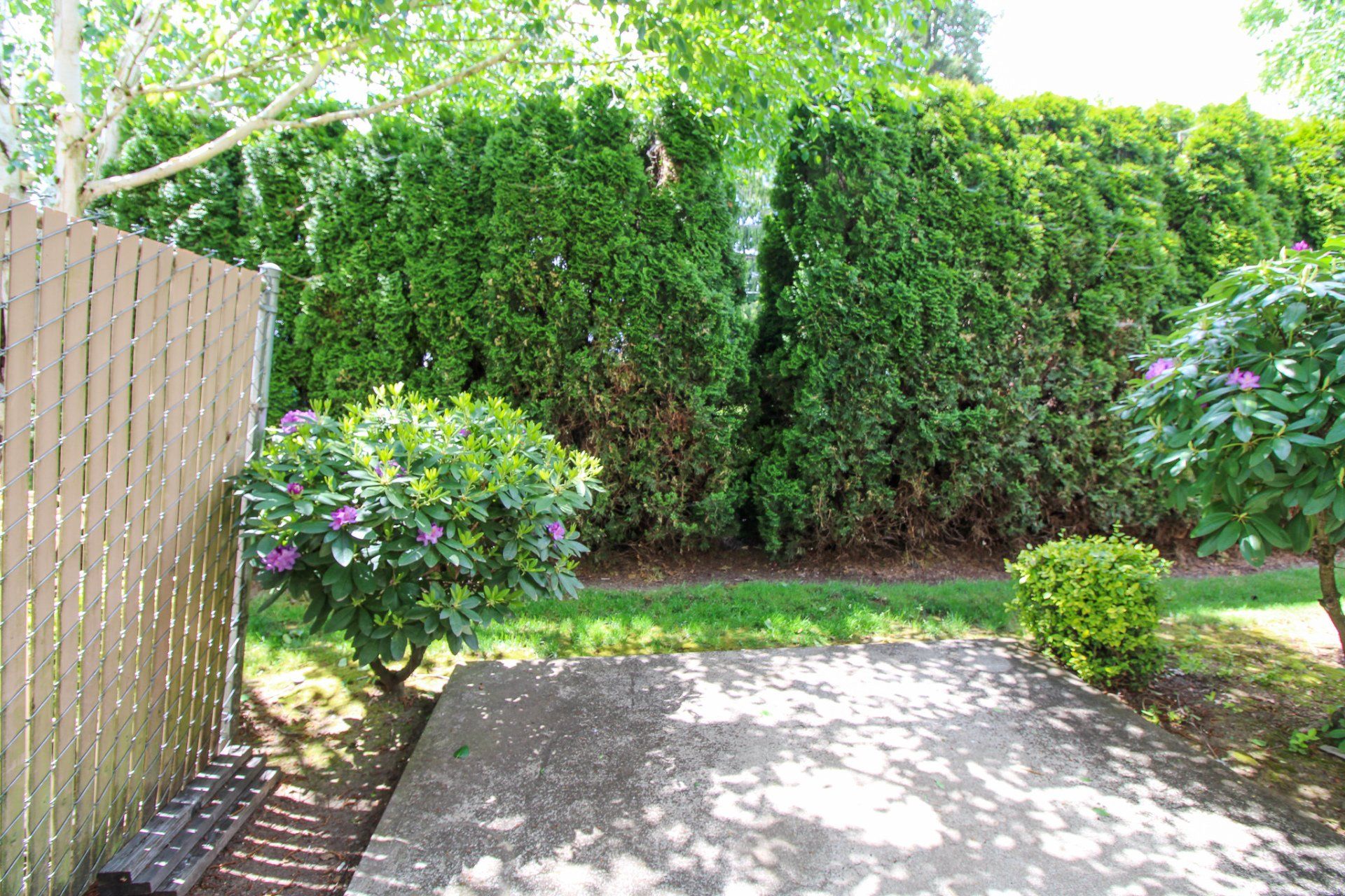 A backyard with a wooden fence and a concrete walkway