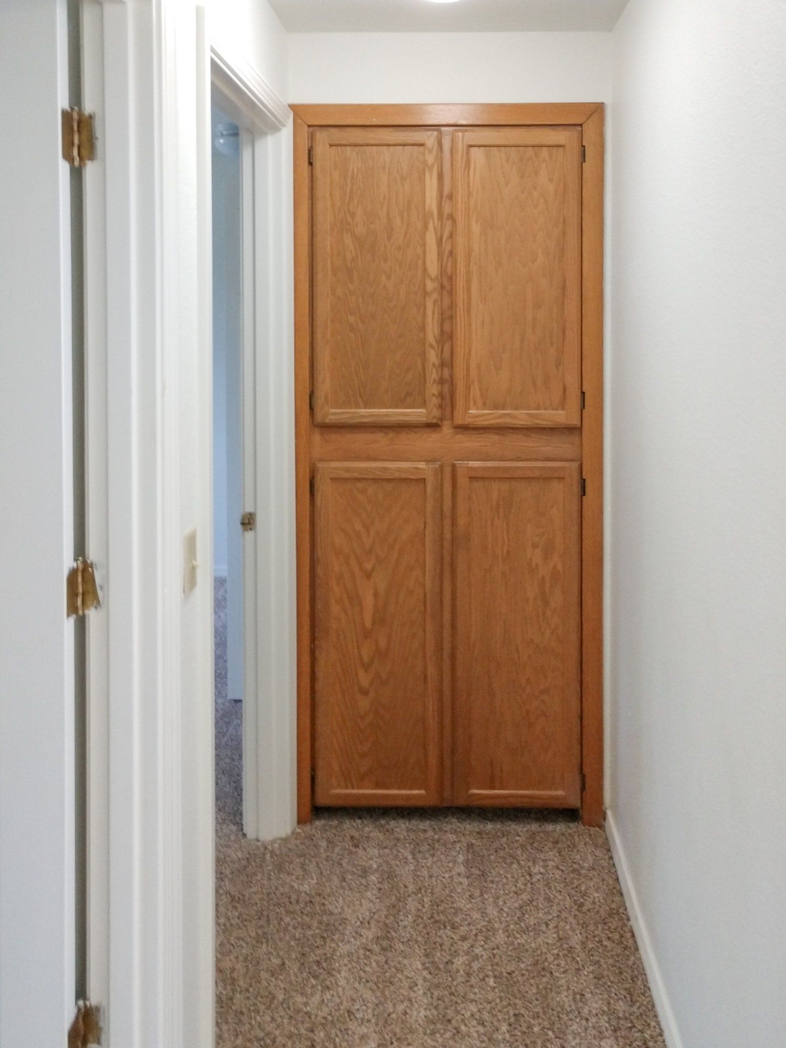 A hallway with a wooden door and a carpeted floor