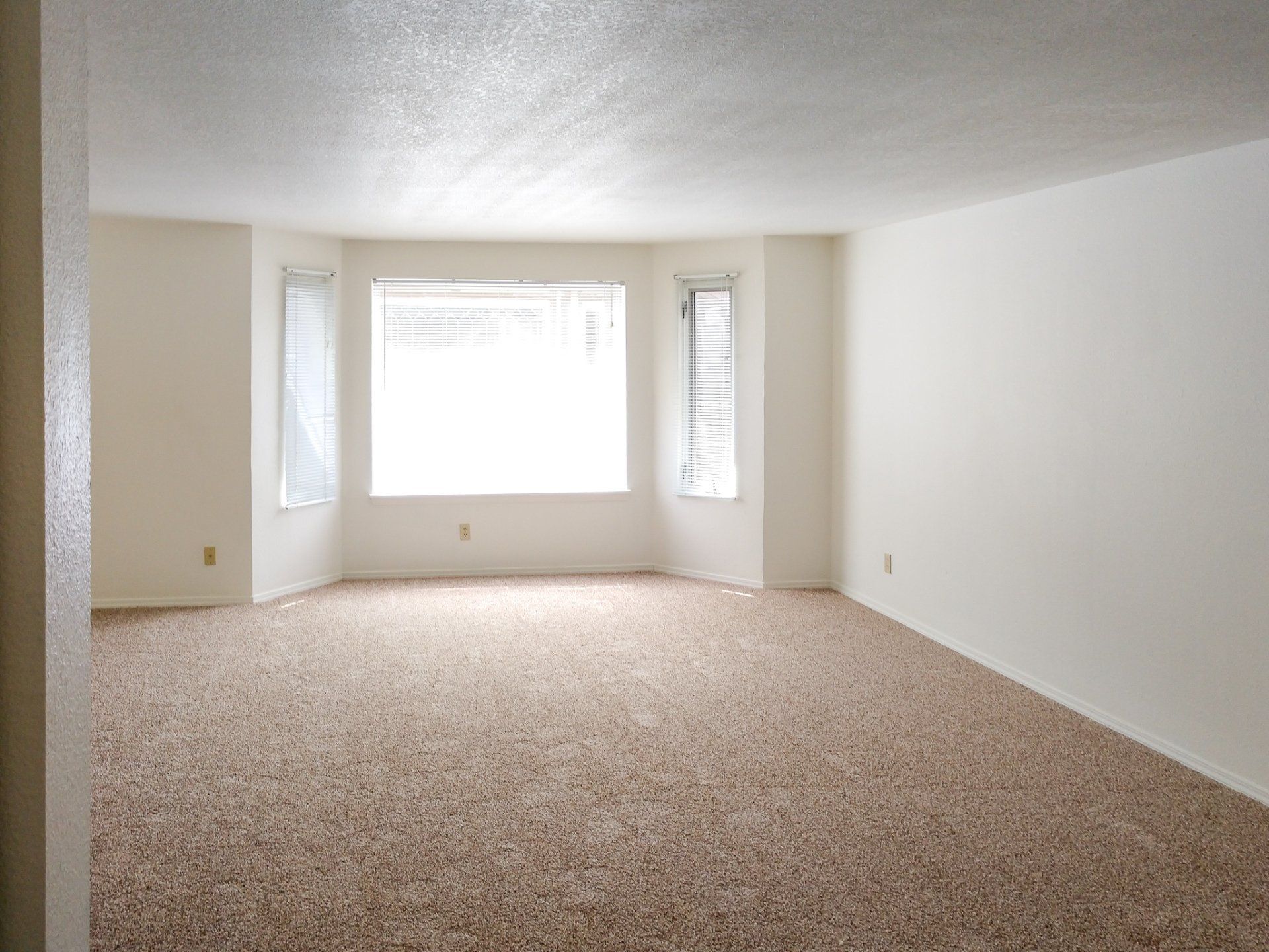 An empty living room with a large window and carpet.