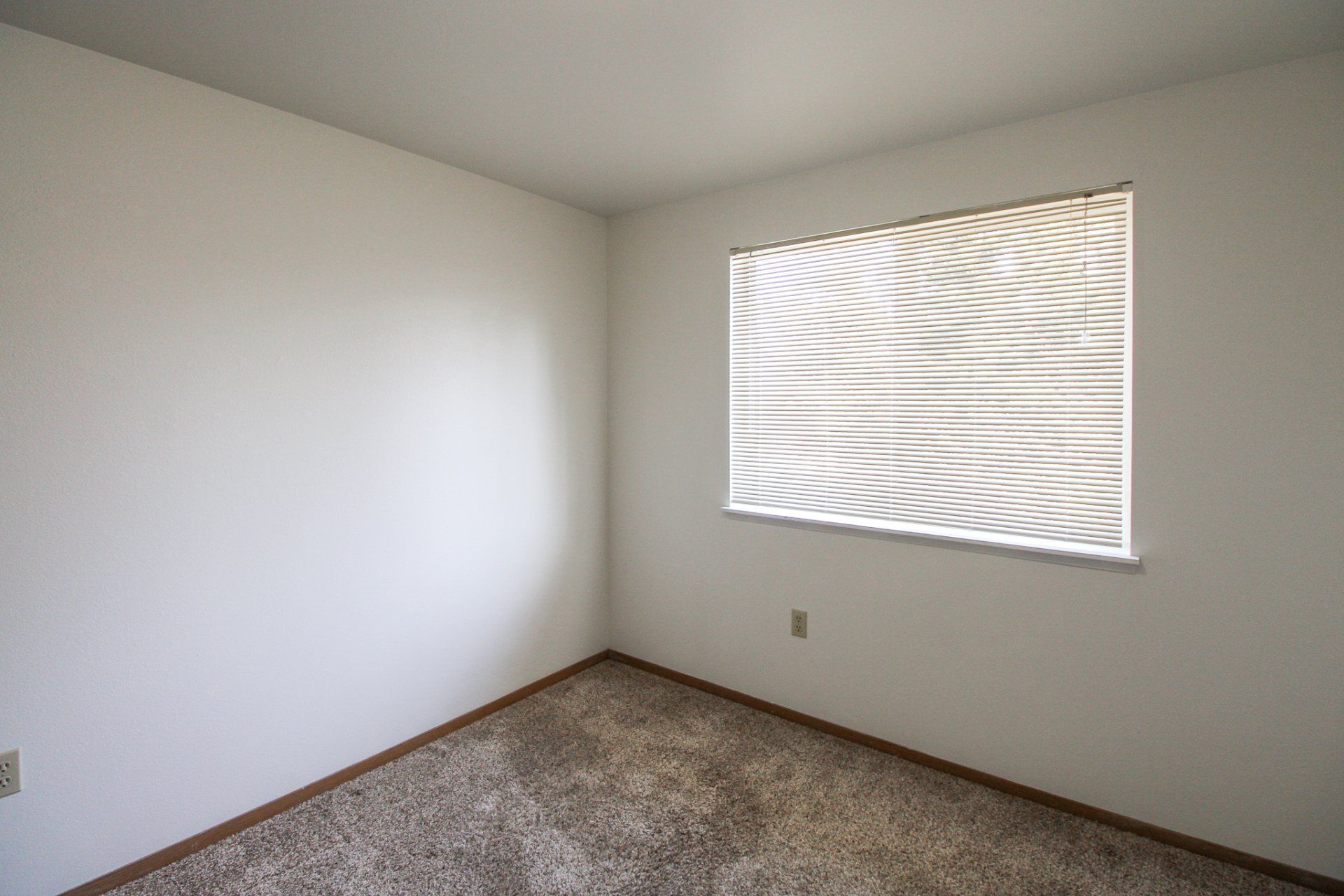 An empty bedroom with a window and carpet.