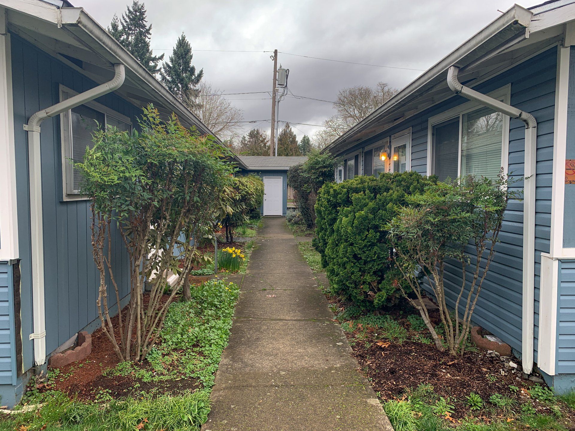 A walkway between two blue houses with trees and bushes