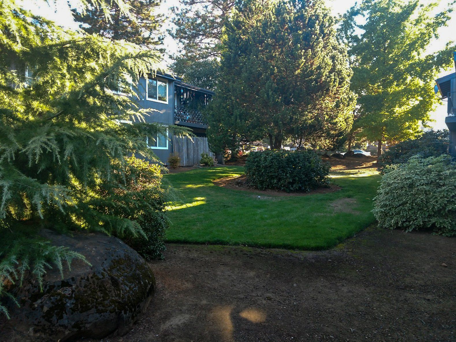 A lush green yard with a house in the background